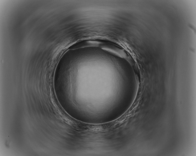 X0000091580097200708271229