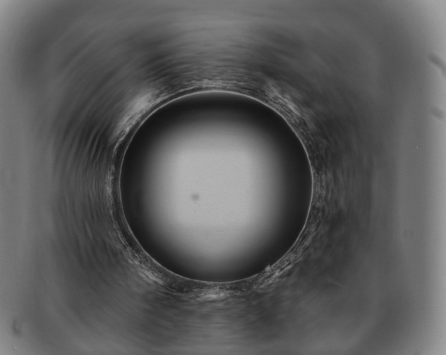 X0000091580098200708271229
