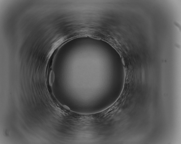 X0000091580099200708271229