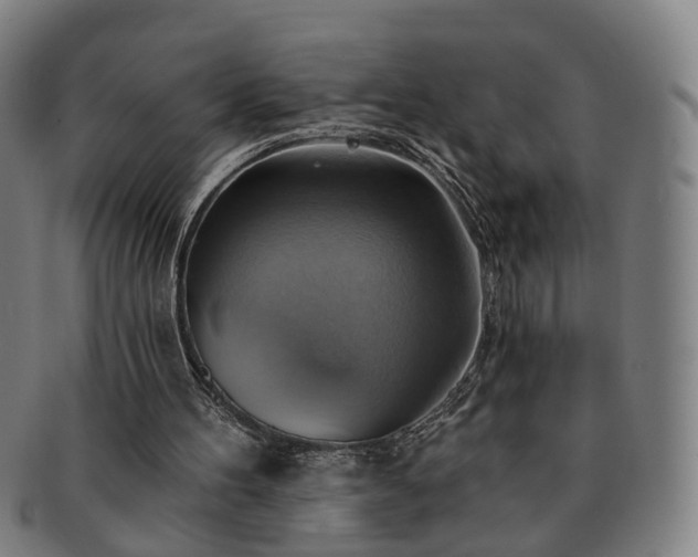 X0000091580100200708271229