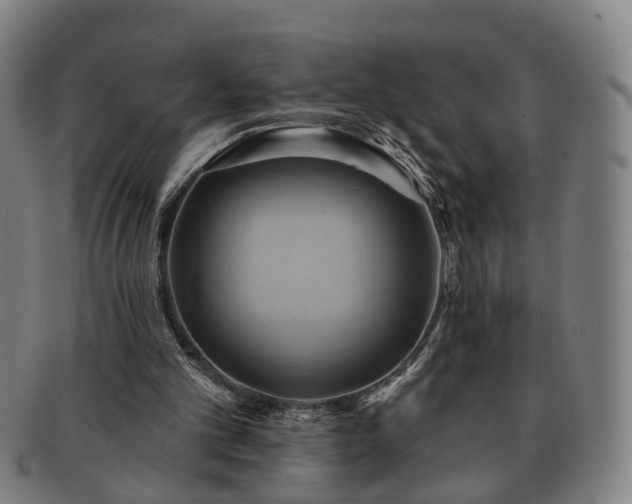 X0000091580101200708271229