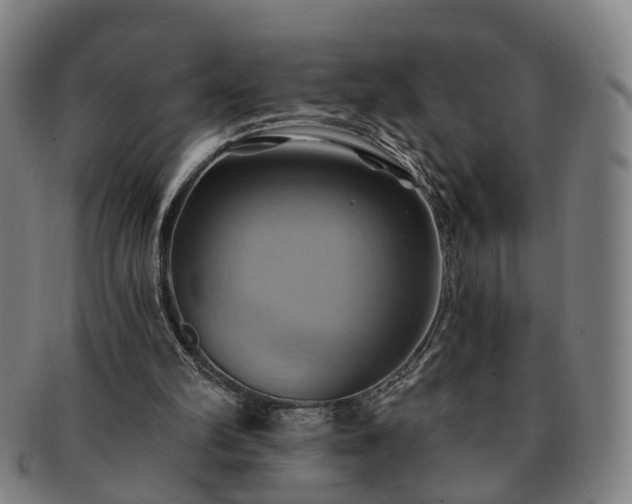 X0000091580102200708271229