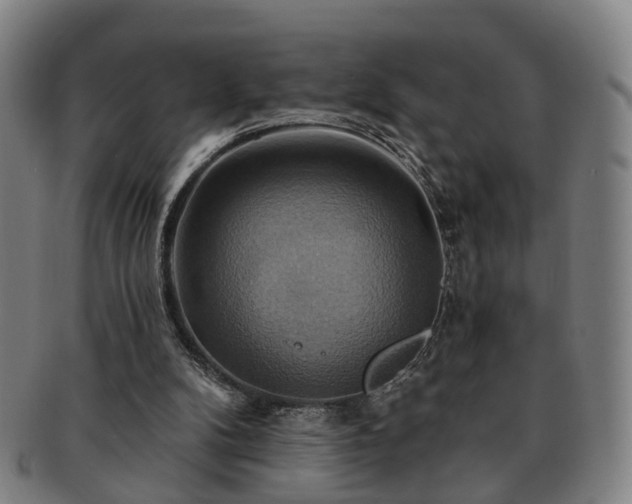 X0000091580104200708271229