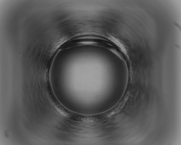 X0000091580105200708271229