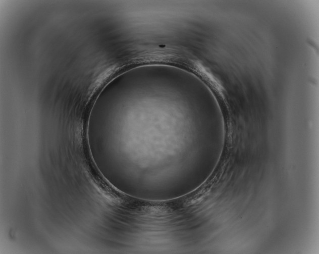 X0000091580107200708271229