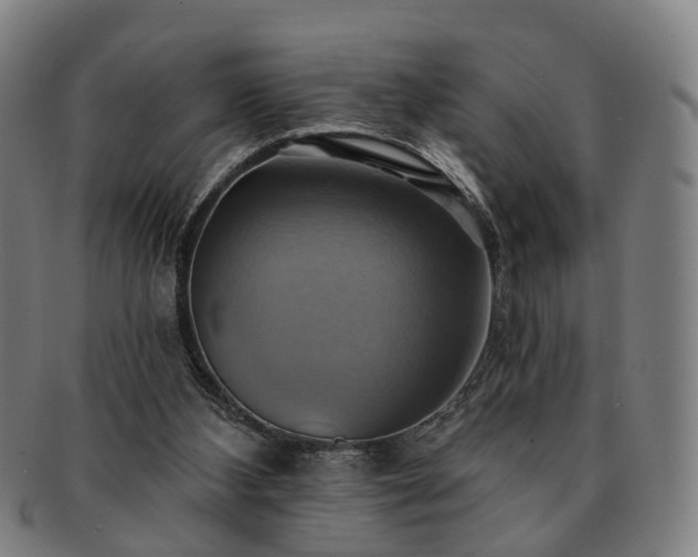 X0000091580108200708271229