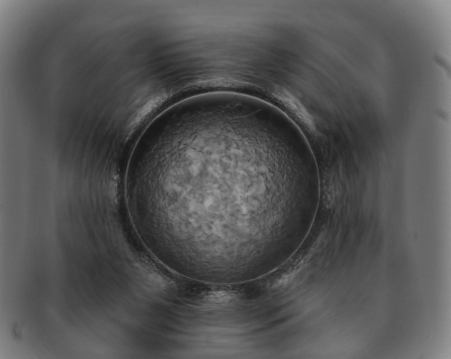 X0000091580111200708271229