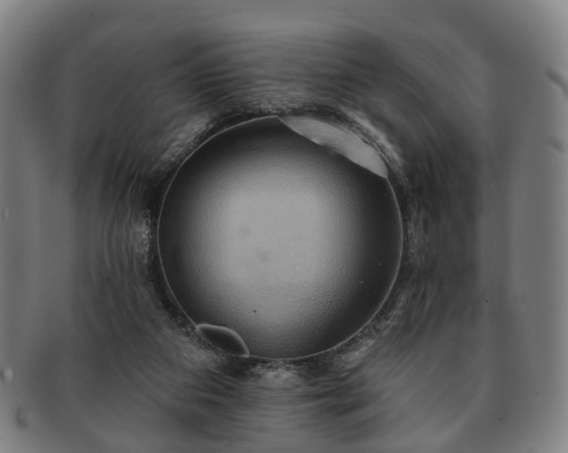 X0000091580113200708271229