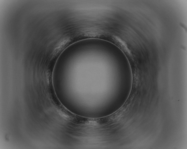 X0000091580114200708271229