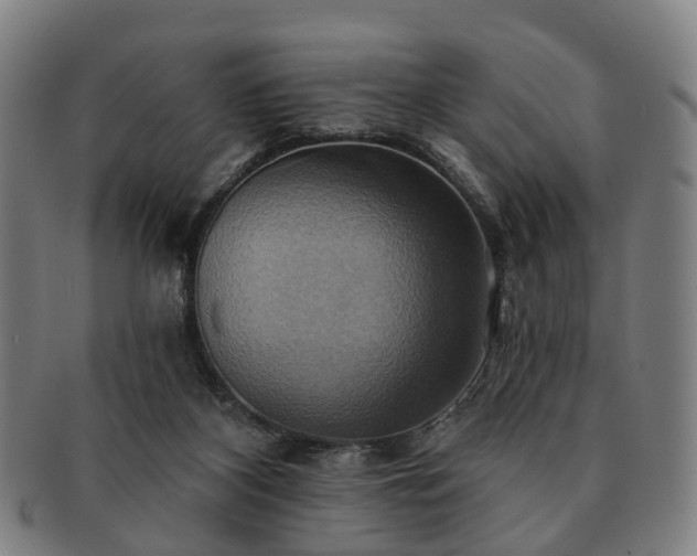 X0000091580116200708271229