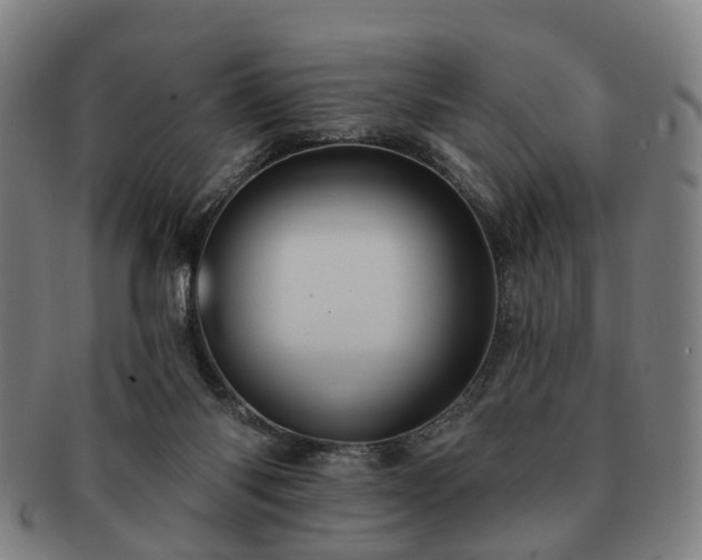 X0000091580118200708271229