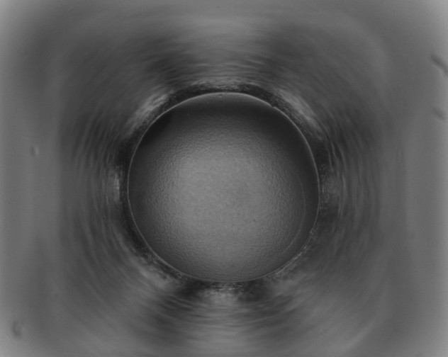 X0000091580120200708271229