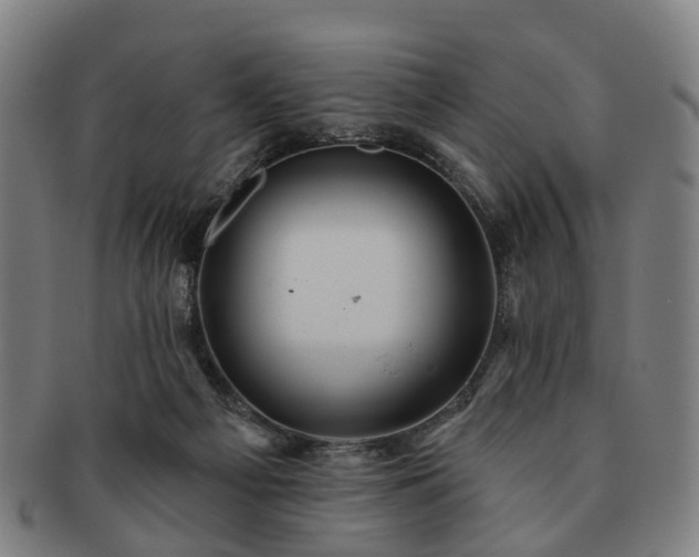 X0000091580121200708271229