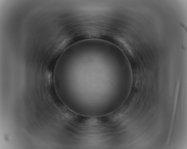 X0000091580123200708271229