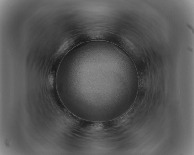 X0000091580124200708271229