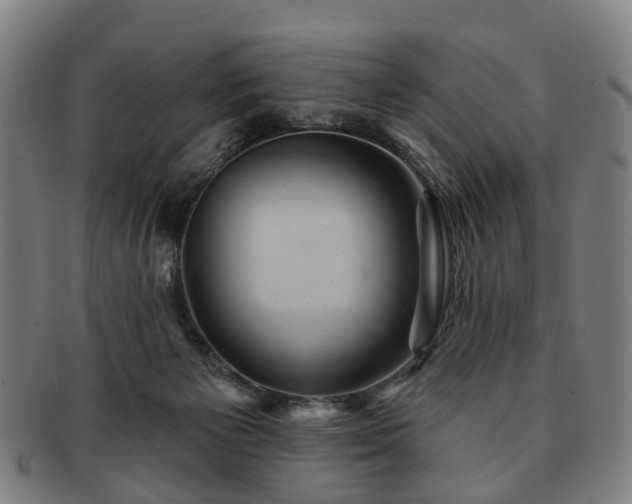 X0000091580125200708271229
