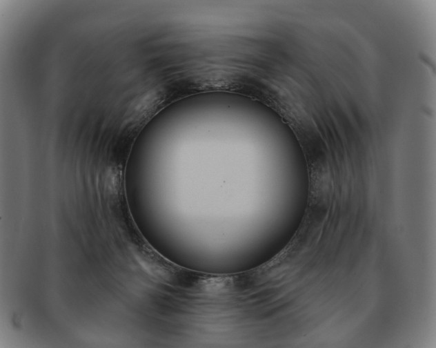 X0000091580126200708271229