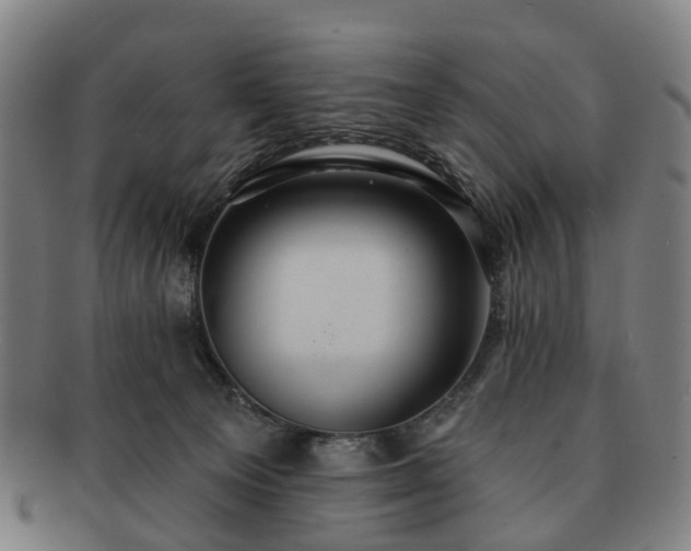 X0000091580129200708271229