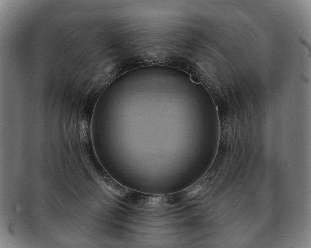 X0000091580130200708271229
