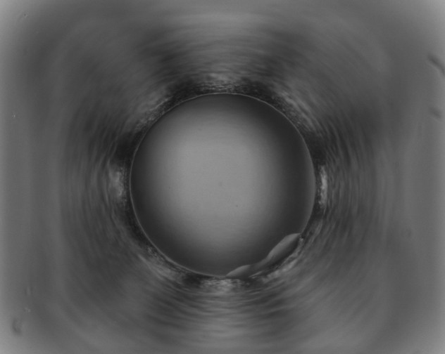 X0000091580131200708271229
