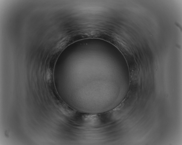 X0000091580132200708271229