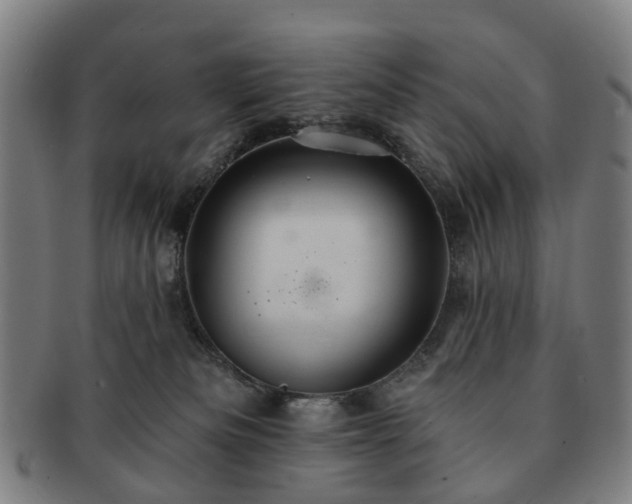 X0000091580133200708271229