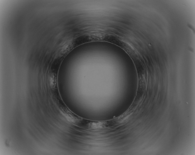 X0000091580134200708271229