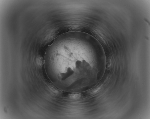 X0000091580135200708271229