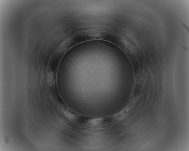 X0000091580136200708271229