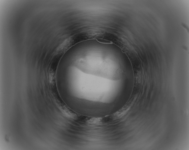 X0000091580138200708271229