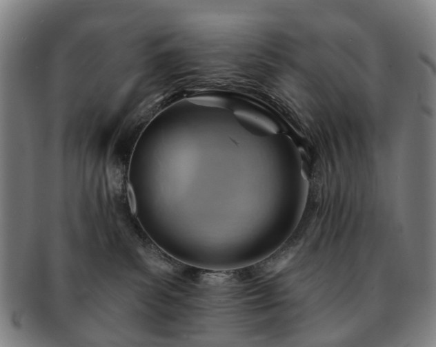 X0000091580139200708271229
