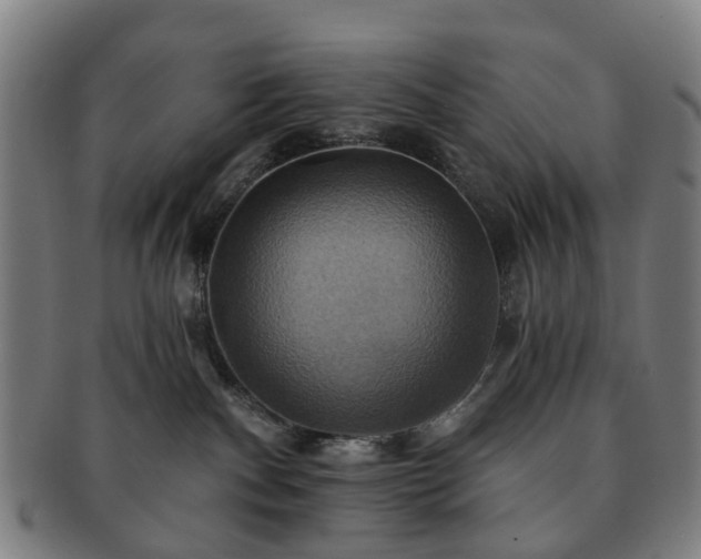 X0000091580140200708271229
