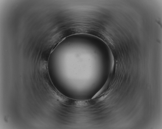 X0000091580141200708271229