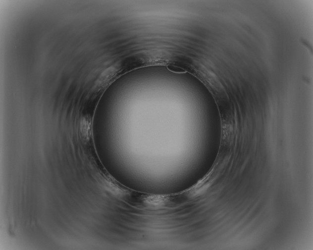 X0000091580142200708271229