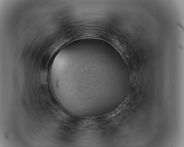 X0000091580146200708271228
