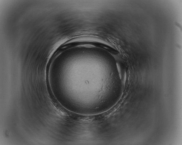 X0000091580148200708271228