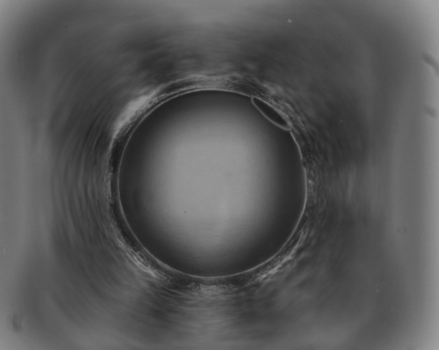 X0000091580149200708271228