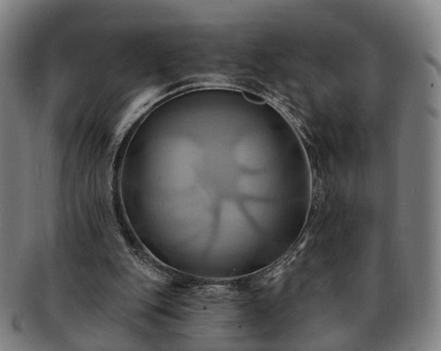 X0000091580151200708271228