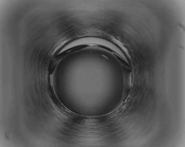 X0000091580154200708271228