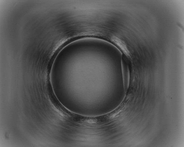 X0000091580156200708271228