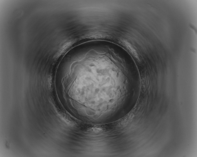 X0000091580159200708271228