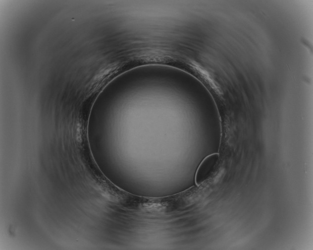 X0000091580161200708271228