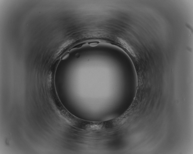 X0000091580163200708271228