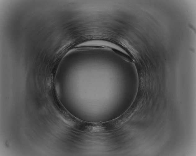 X0000091580165200708271228