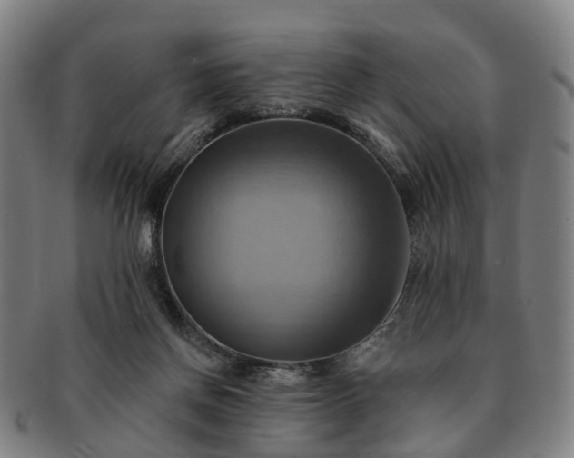 X0000091580166200708271228