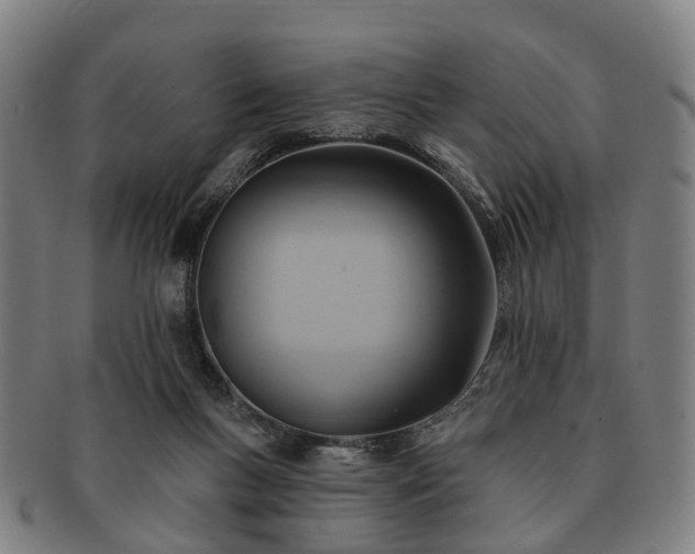 X0000091580167200708271228