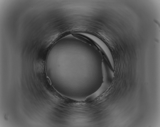 X0000091580168200708271228