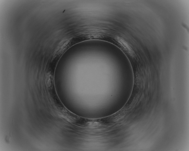 X0000091580169200708271228
