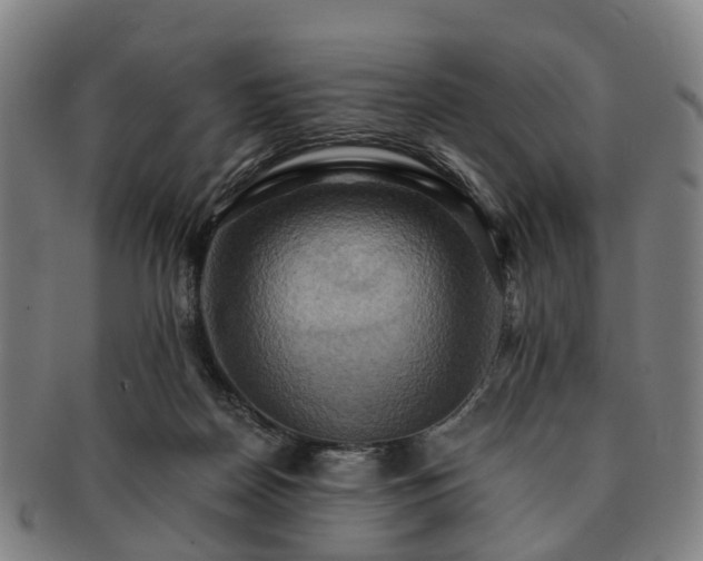 X0000091580170200708271228
