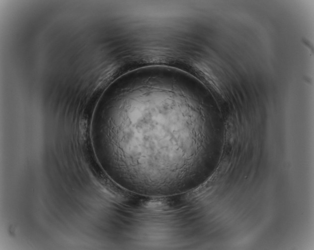 X0000091580171200708271228
